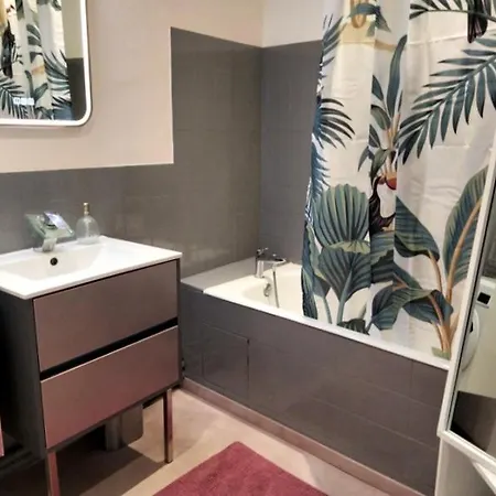Appartement Pau Apartment *